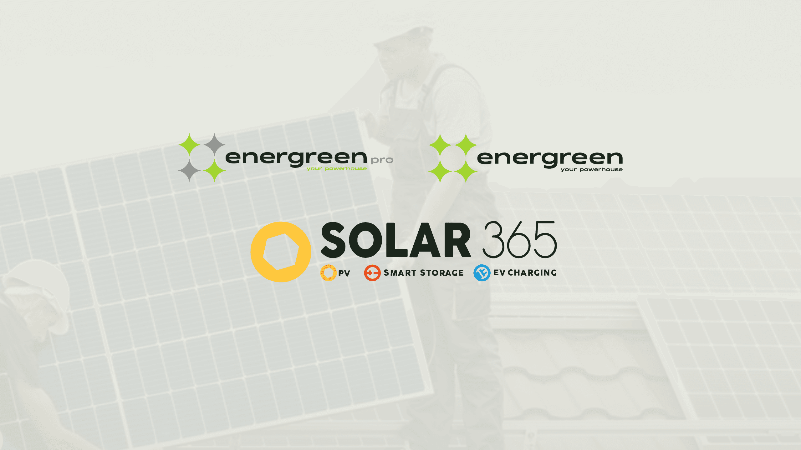 Solar365-interview-energreen-pro-3.png